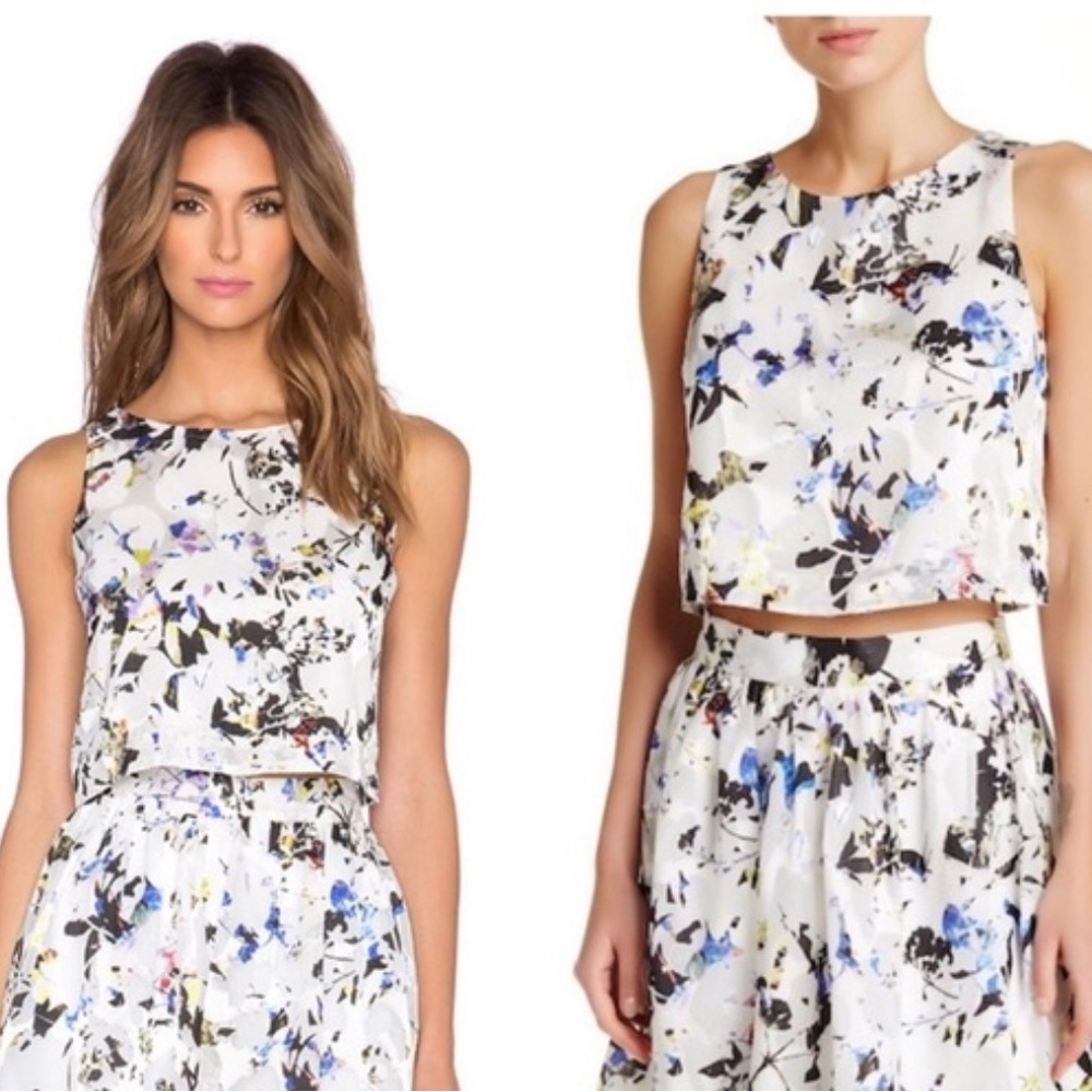 Elizabeth and James Crop Top